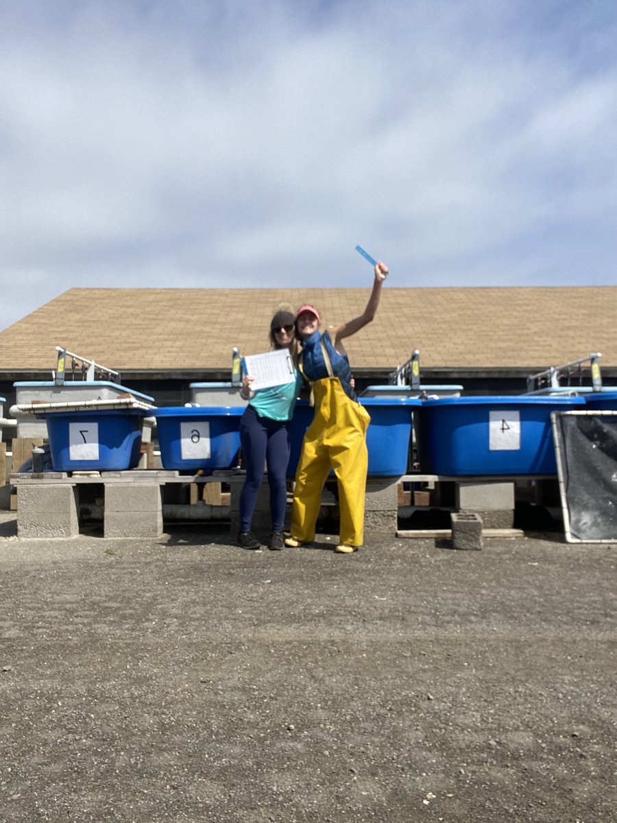 Karolina Zabinski (@karolchamicroba) on Twitter photo The i in science stands for INCREDIBLE teamwork— we did it! Seagrass GWAS 2021 mesocosm ✅ now, to the lab! 🚀 much gratitude to the folks who took time to help us out (many not pictured!)— thank you!!! 🌱🌊 <a href="/bebenson9/">Brooke Benson</a> The i in science stands for INCREDIBLE teamwork— we did it! Seagrass GWAS 2021 mesocosm ✅ now, to the lab! 🚀 much gratitude to the folks who took time to help us out (many not pictured!)— thank you!!! 🌱🌊 <a href="/bebenson9/">Brooke Benson</a>