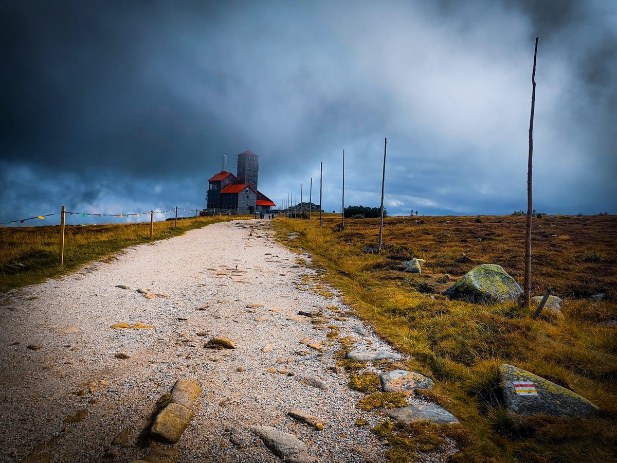 Justa1985 (@lipalipinska) on Twitter photo 