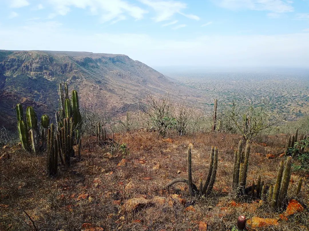 alvaro_garcia_o's tweet photo. Some recent fieldwork in the #dryforest of NW Perú. Setting #cameratraps to study the impact of exotic mammals in wildlife. Project of #BioSPeru https://t.co/rmEHB5lun6