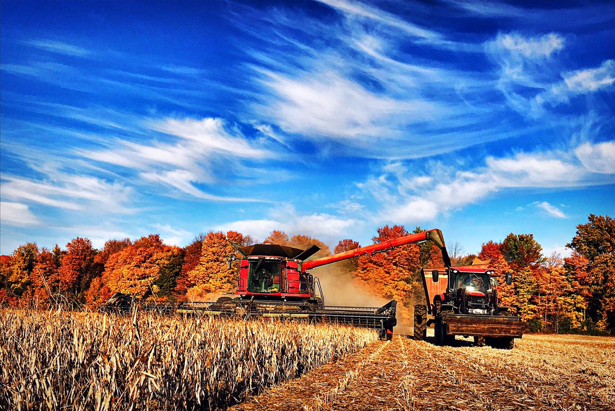 #RedheadEquipmentHARVEST2021