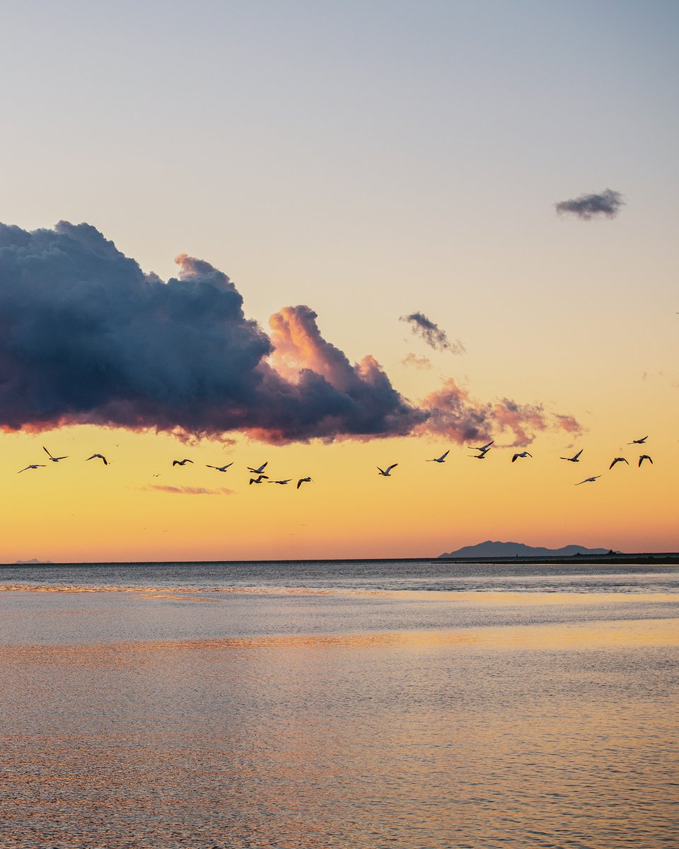 kaiyhun's tweet photo. Anyone else have a soft spot for clouds? https://t.co/x7DzQsrhk8