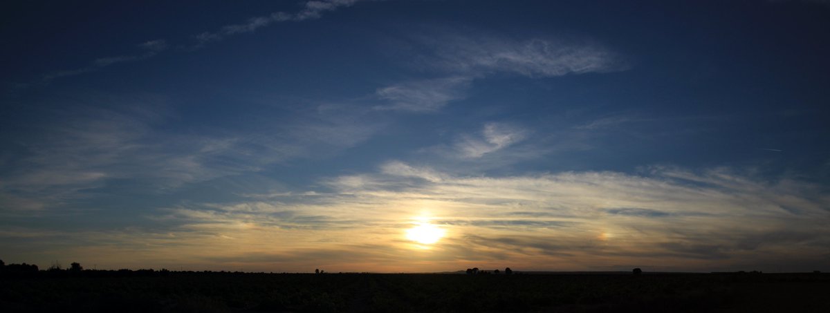 Parhelio a la puesta del sol observado esta tarde en Pedro Muñoz (Ciudad Real)
@AEMET_CLaMancha @ElTiempoCMM @davidlopezrey @meteocr @JG_Cantero