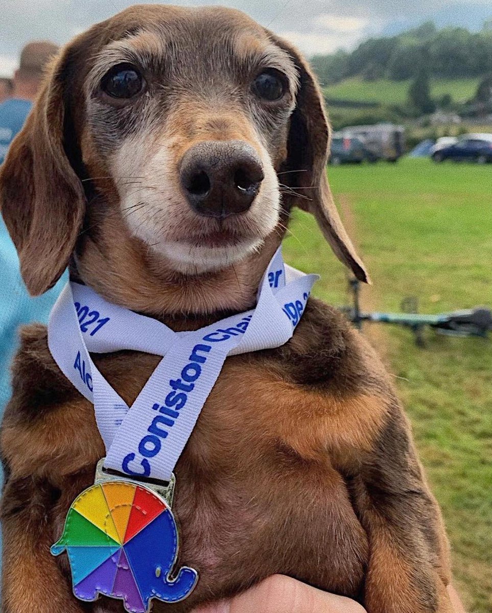 Real Crafty Wigan tweet media