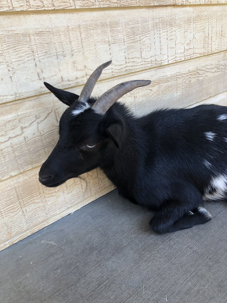 MeganBitchell's tweet image. this guy just asked if I wanted to live deliciously wtf