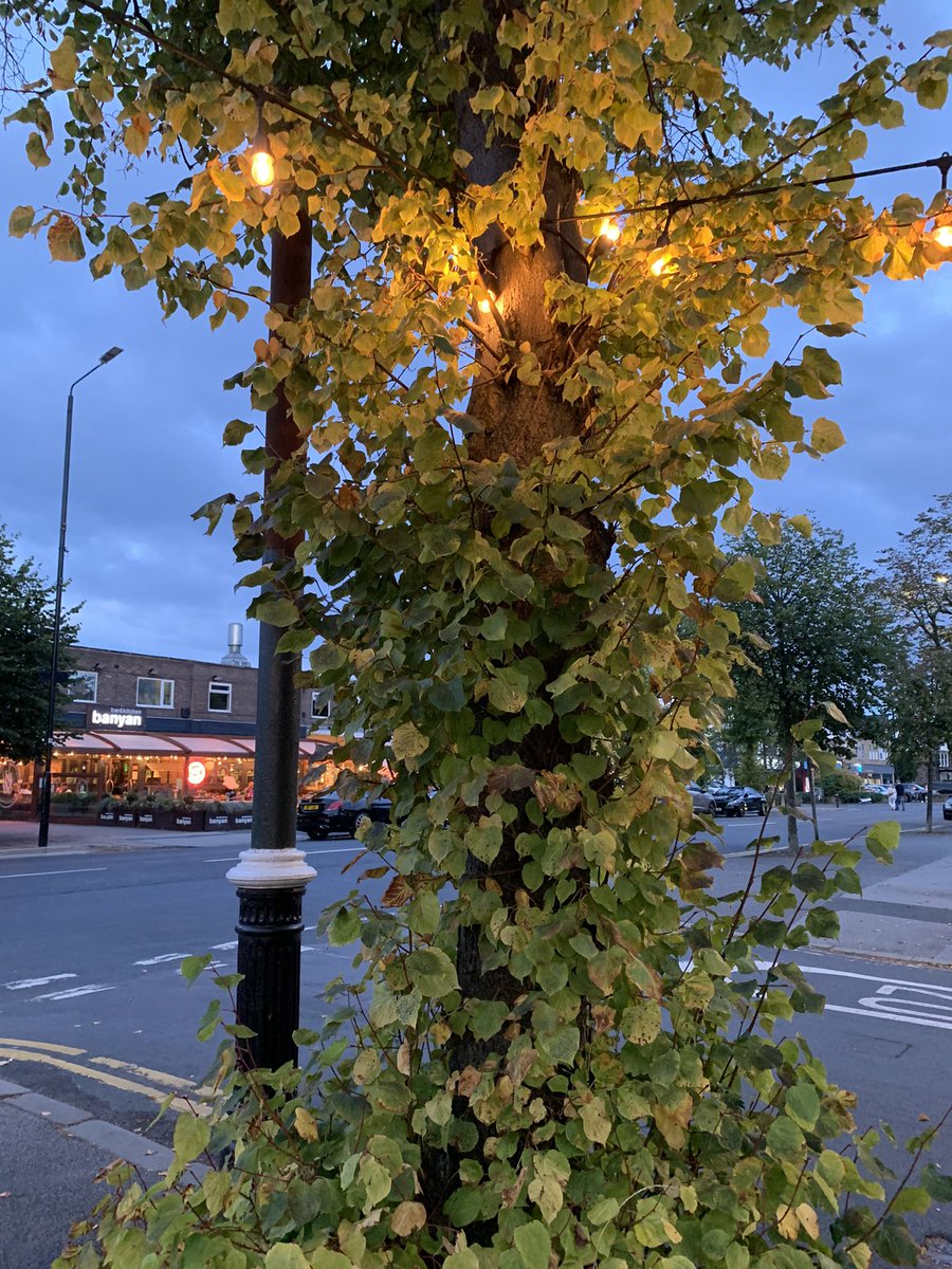 picklewall's tweet photo. I love seeing my high street start to light up for the night owls (and the fabulous Victorian stinkpole that’s also @Pokemon stop. #highstreetlove @HistoricEngland https://t.co/DxxBtH4AUZ