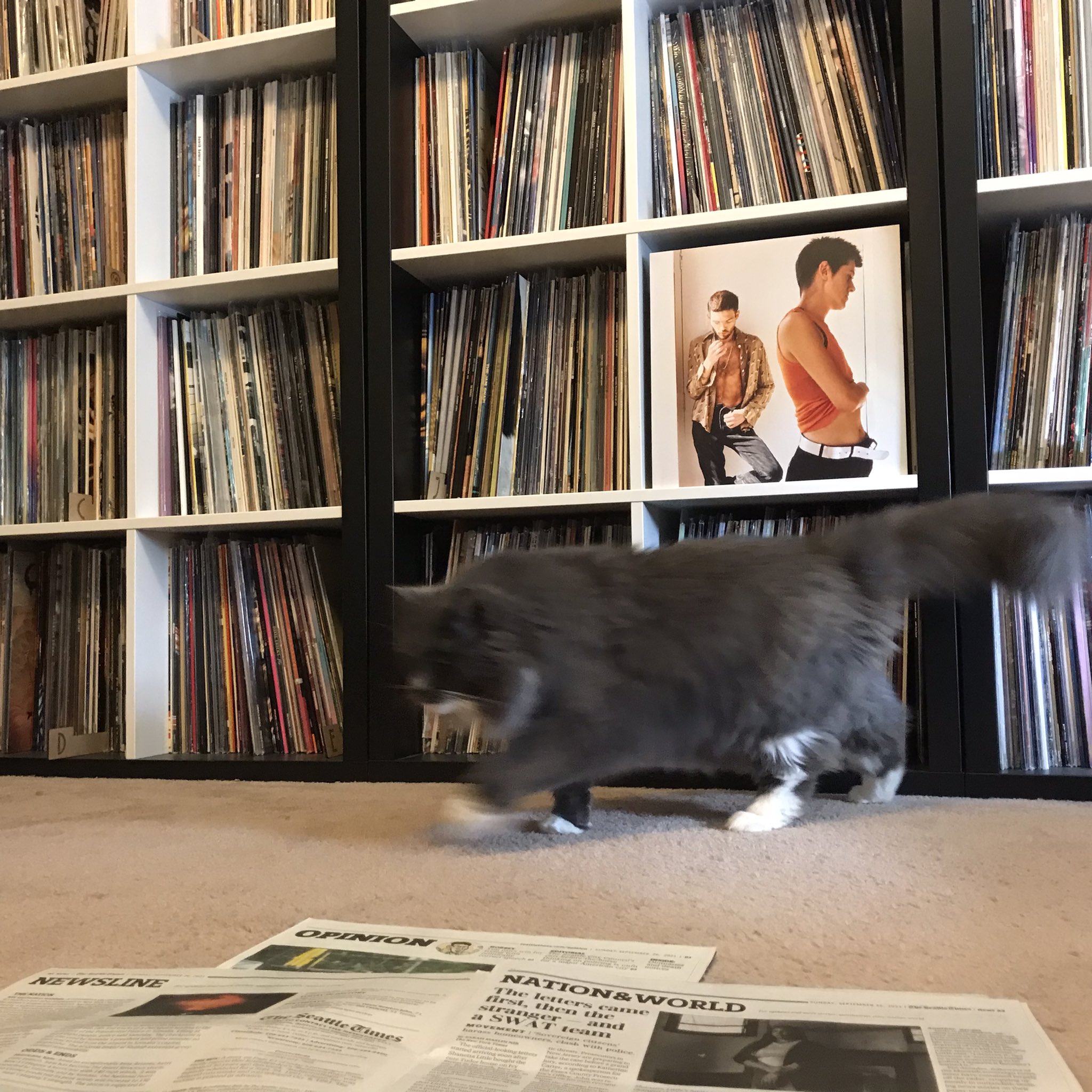 Sunday morning, newspaper, cat, Everything But the Girl, happy birthday 