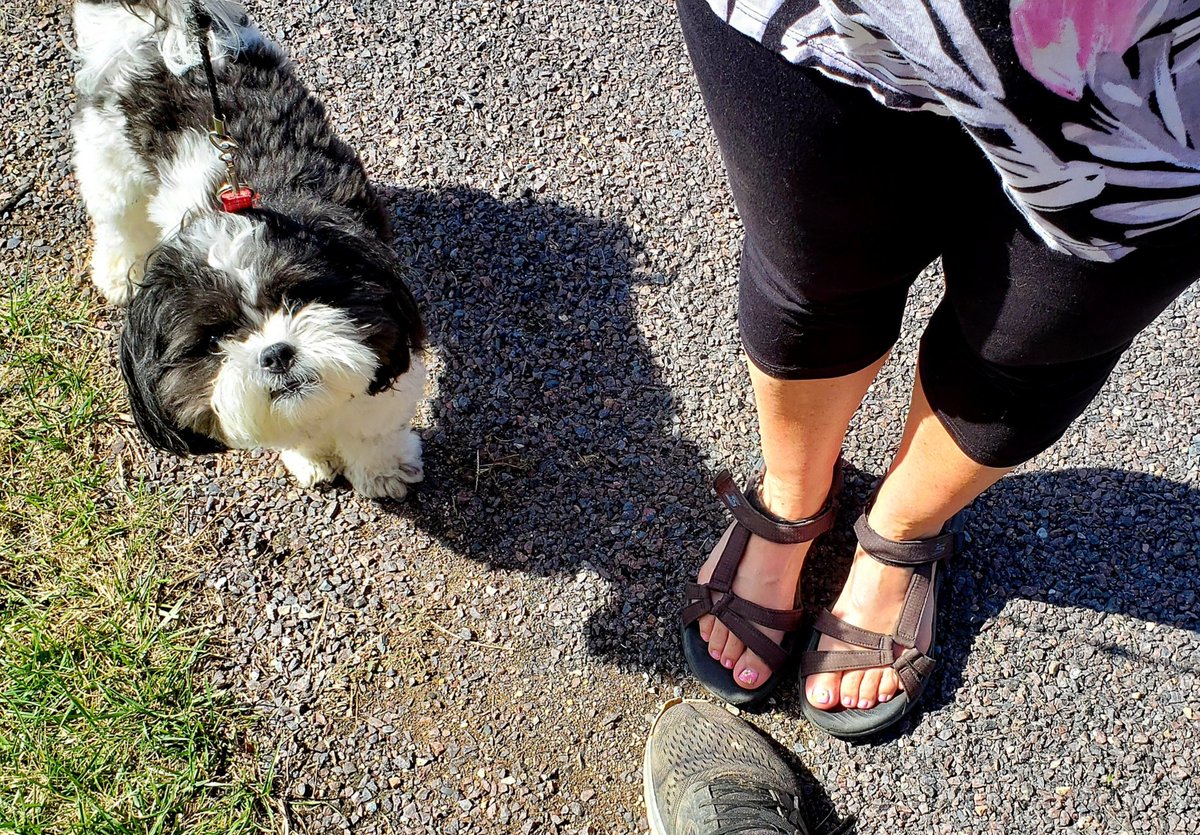 tnbartley's tweet photo. Walking for the heart! 30 minutes of exercise a day improves heart health....for our 4 legged friends too! @American_Heart
@Carle_org #blonohw https://t.co/mSE9qtK0rf
