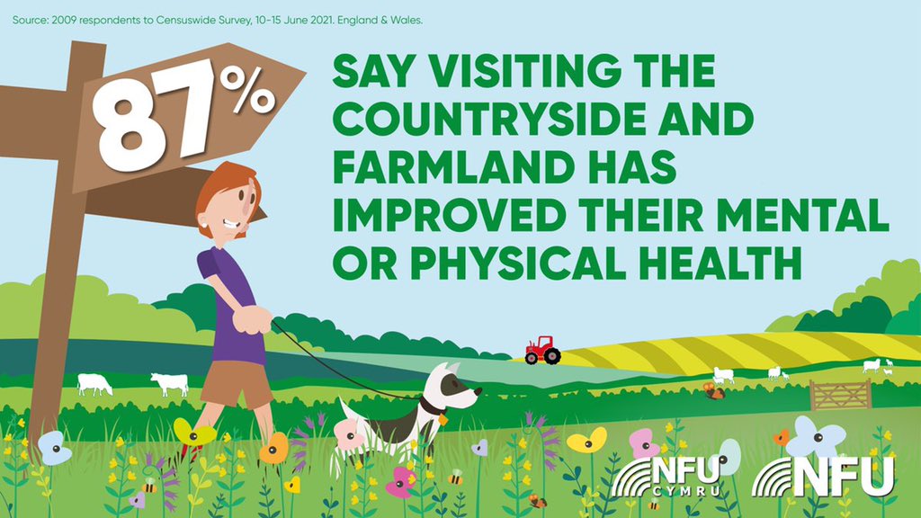 JoeWStanley's tweet image. #GetOutsideDay

🌳 🐝 🦋 🐄 🐏 🦢 🦅 🌾 🌻 ☀️ 🍄