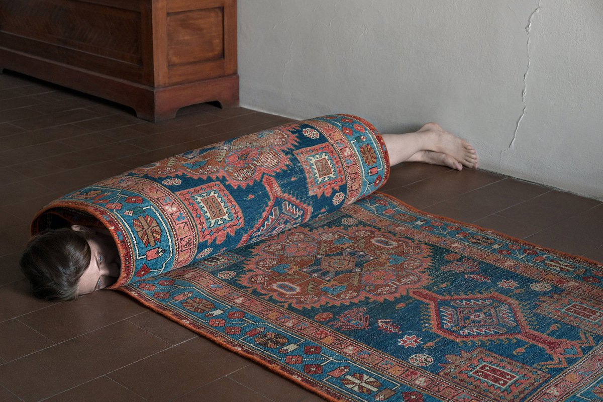 Brooke DiDonato tweet media