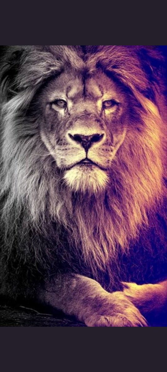 En kötü gün bugünse bugün de <a href="/GalatasaraySK/">Galatasaray SK</a>

#BugünGünlerdenGALATASARAY