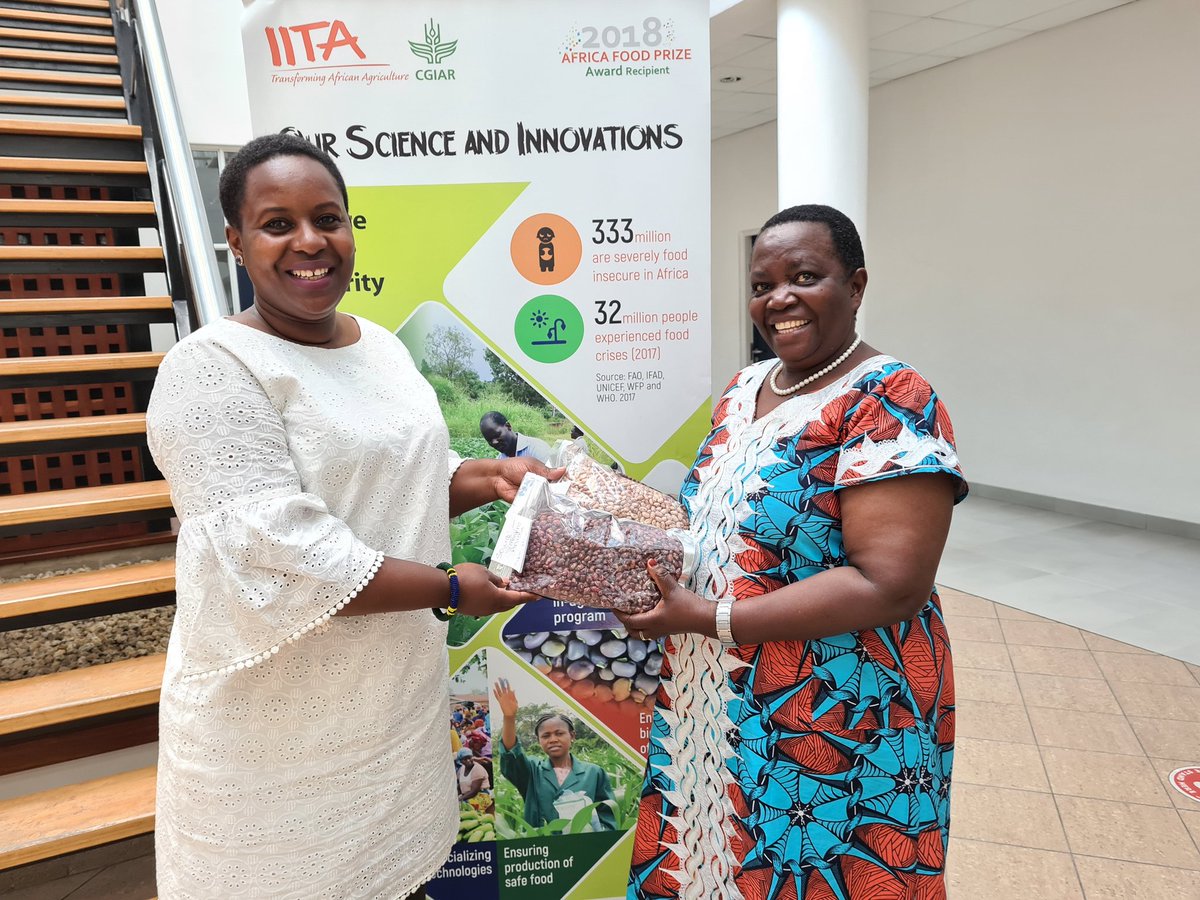 Neema Lugangira tweet media