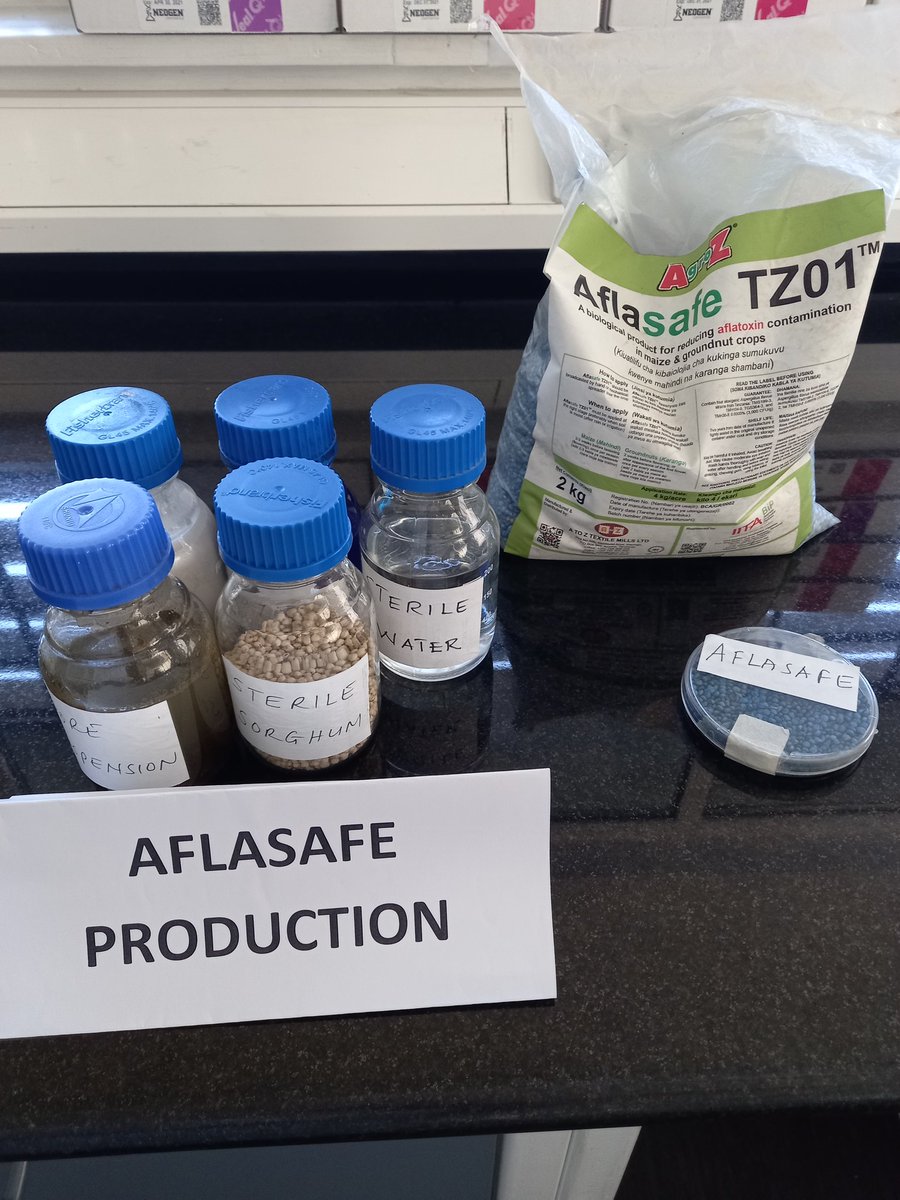 Neema Lugangira tweet media