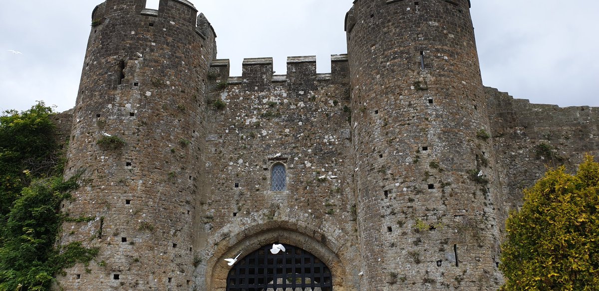 TerryAlexSax's tweet image. Privileged to play at #amberleycastle for a lovely wedding breakfast in the gardens. #castle #castlesax #castlewedding
