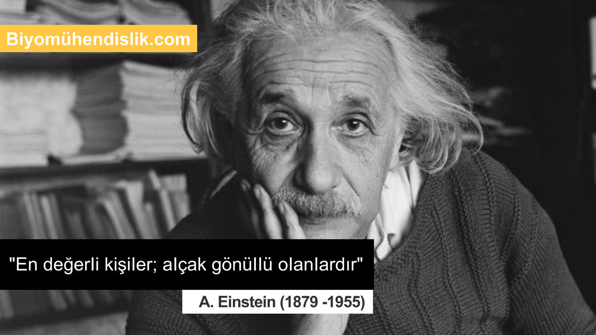 "En değerli kişiler; alçak gönüllü olanlardır." 

#AlbertEinstein