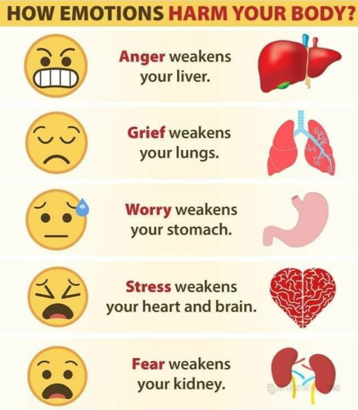 Did you know how much your mind affects your body?  Learn meditation to help heal your mind and body 😄 You can live a healthy and happy life and live with a mind of freedom.
