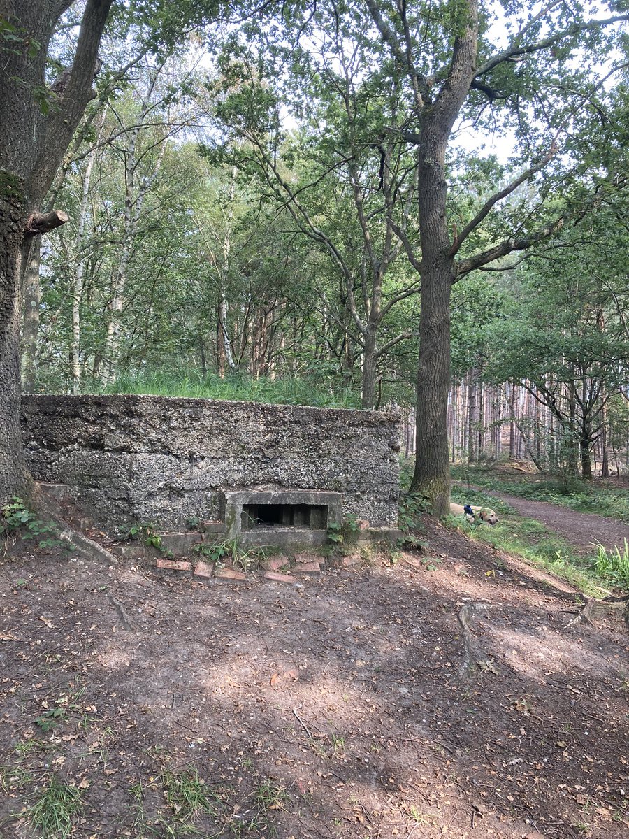 AssistanceZiggy's tweet image. #GetOutsideDay enjoy