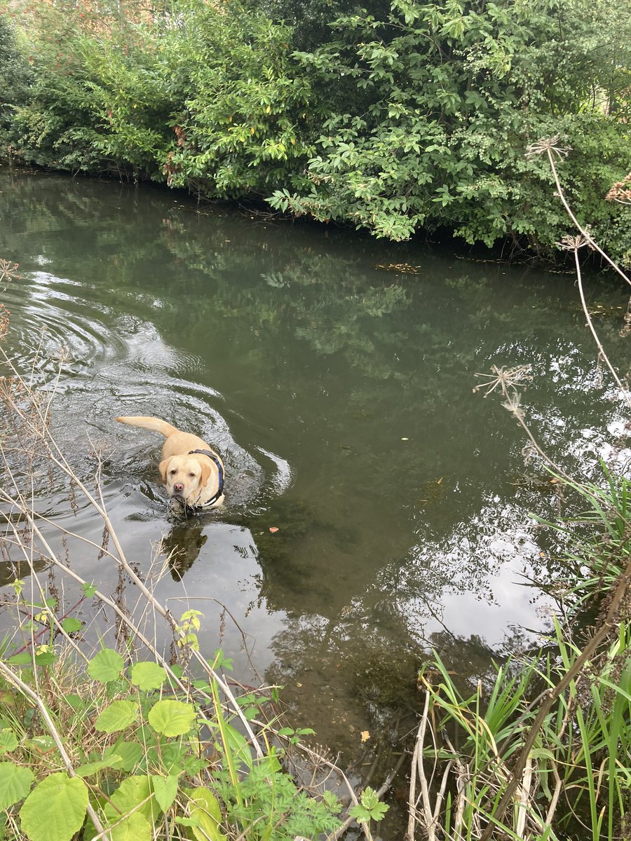 AssistanceZiggy's tweet image. #GetOutsideDay enjoy