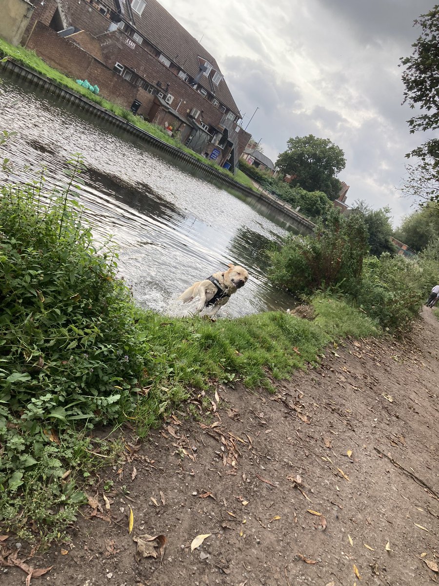 AssistanceZiggy's tweet image. #GetOutsideDay enjoy