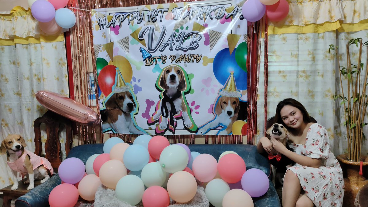 Valerierhane28's tweet photo. Happy 1st Barkday Baby 🥳🎉 https://t.co/XA7Xse0Cz8