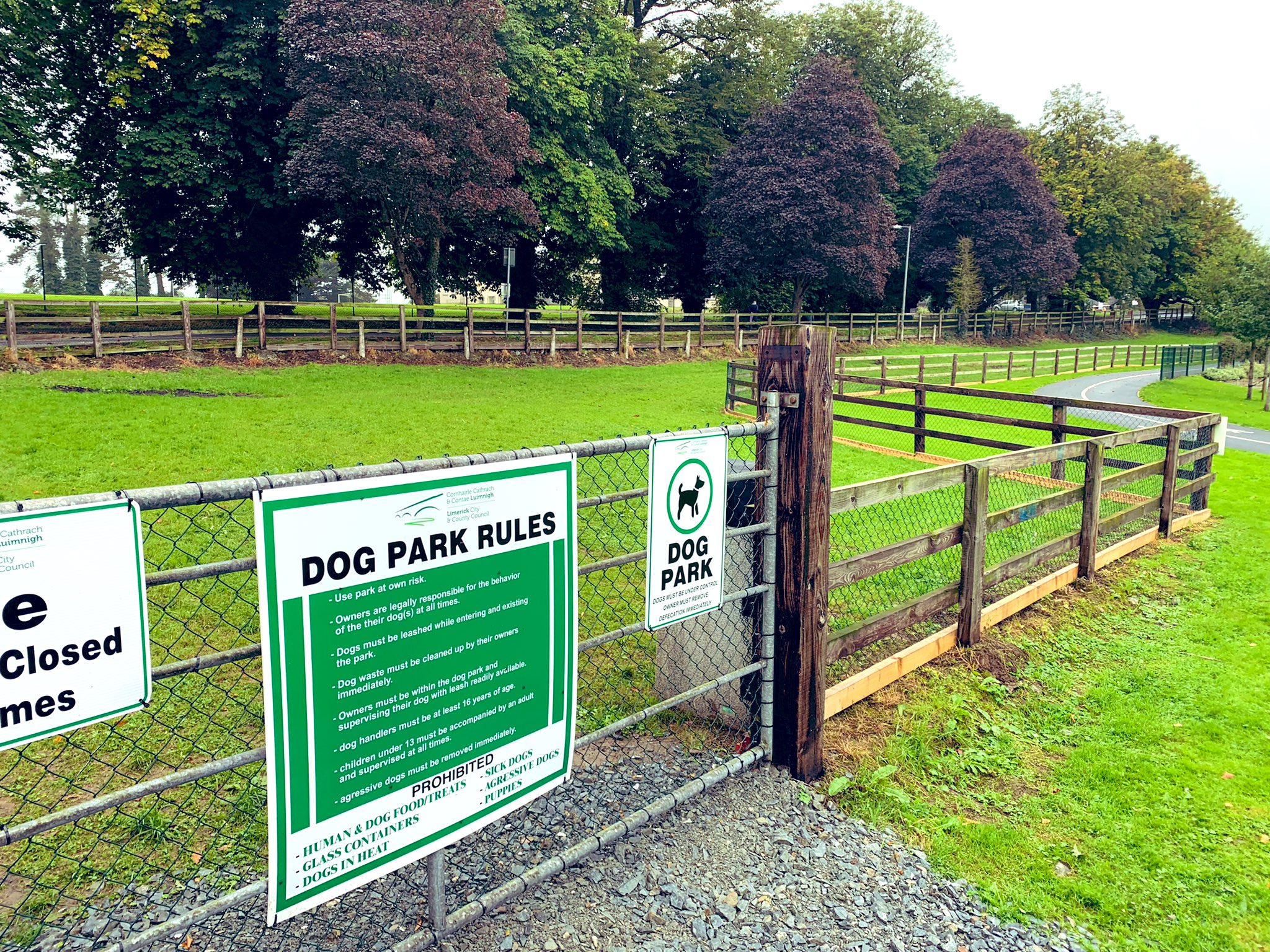 Can Dogs Get Sick From Dog Parks