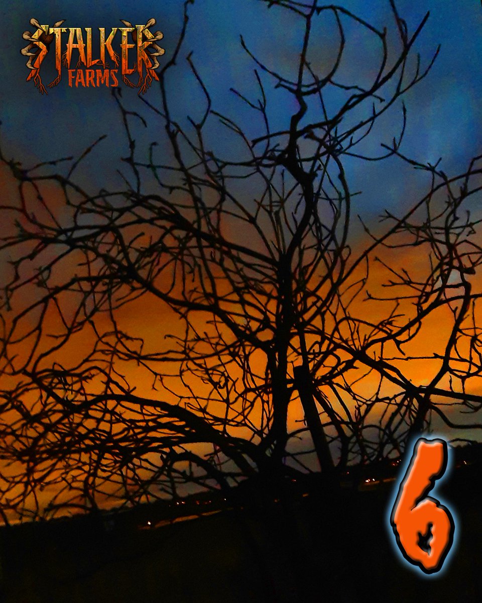 StalkerFarms tweet media