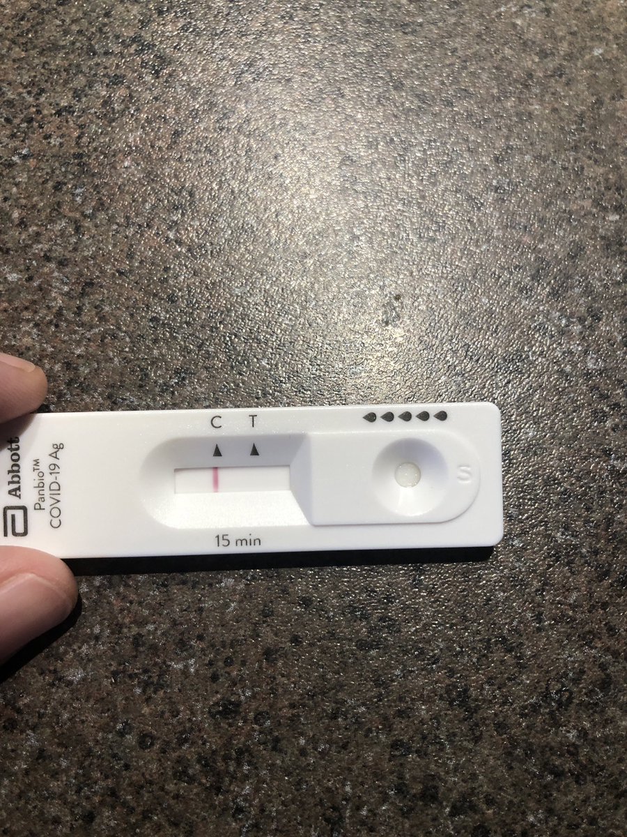MsMichalofsky's tweet photo. I am a #staysafescreen ambassador which means I can test before spending time with the vulnerable people in my life! Love to see one red line! https://t.co/KGlDCkOH3q