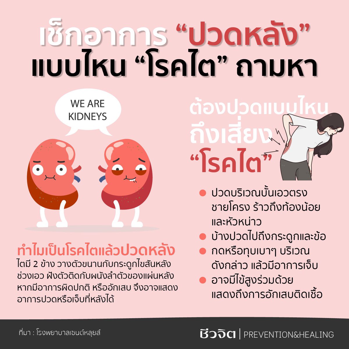 มาเช็กกันดีกว่าว่าปวดหลังแบบไหน ถึงจะเสี่ยงเป็นโรคไต ใครที่กำลังปวดหลังแล้วสงสัยหรือไม่แน่ใจ มาเช็กกันให้ชัวร์ค่ะ

#ชีวจิต #โรคไต #ปวดหลัง