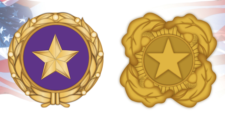 Army_PDES's tweet photo. Today is Gold Star Mother’s and Family’s Day – a day to remember surviving mothers and families of fallen service members and honor the legacy of their loved ones who died in service to our nation. Gold Star Mothers and Families will not be forgotten.  #GoldStarFamilies https://t.co/T8Tcmc1dD8