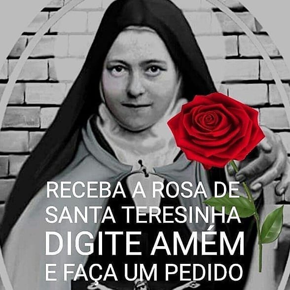 NSenhoraRosario's tweet photo. Santa Teresinha do Menino Jesus, Rogai Por Nós!🌹
Compartilha!
#exemplodevida #rosasvermelhas #receba #rosas #reflexão #teresinhadomeninojesus #todos #unidassomosmaisfortes #igrejacatolica #oração #positividade #amor #amém #santaterezinhadasrosas #santaterezinhadasrosas🌹 https://t.co/njJsU1ZY1K