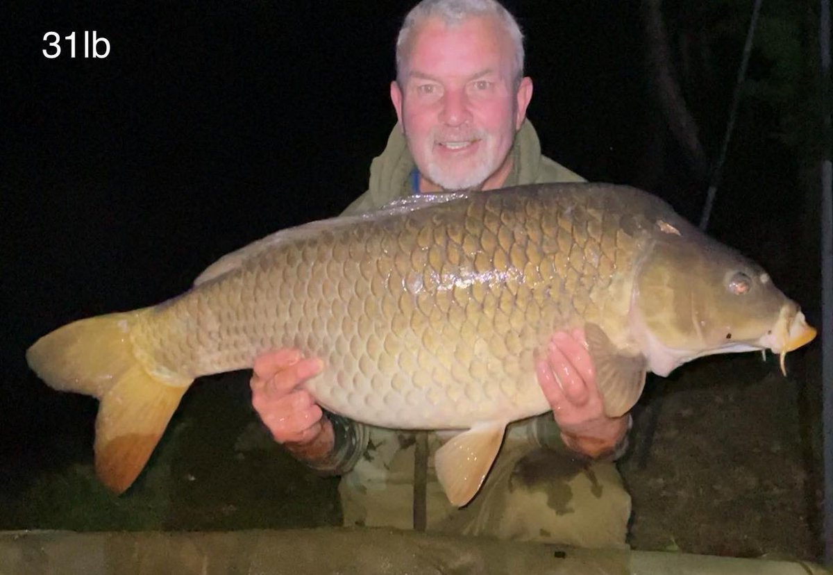 Hideawaylake1's tweet photo. We had the pleasure of hosting , Phil, Graeme and Colin from Essex last week, great guys, full of banter really bought in to what we are about, all smashed there PB’s, tranquil setting, great food, hospitality and of course stunning Carp, see you next July https://t.co/vj57QlPz5A