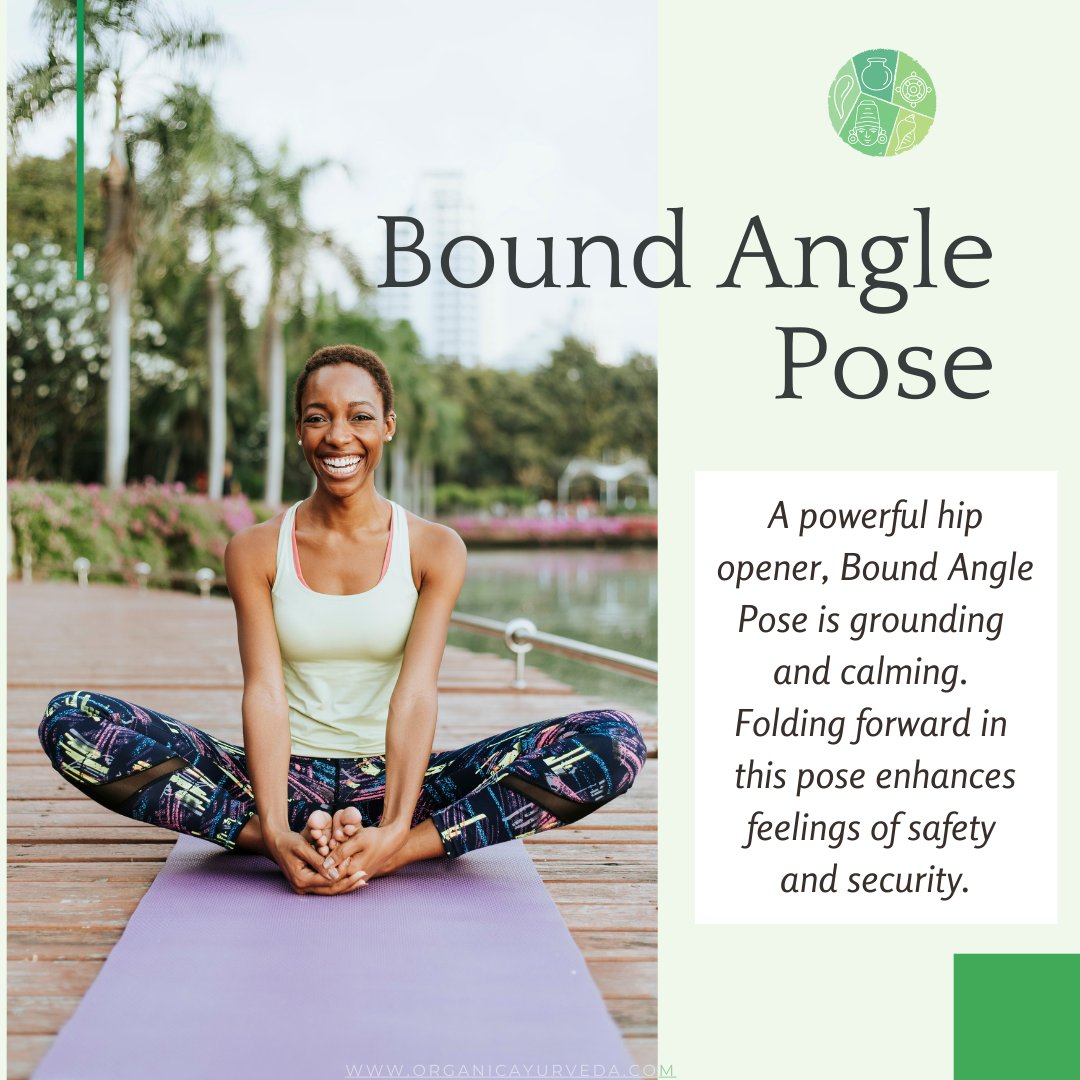 AyurvedaOrganic's tweet photo. Baddha Konasana or called as Bound Angle Pose works to open the deepest part of the hip muscles. It will gently stretch sore hips post-workout while improving postural &amp; body awareness.
#BaddhaKonasana #BoundAnglePose #OrganicAyurveda https://t.co/Cu8099BKlZ