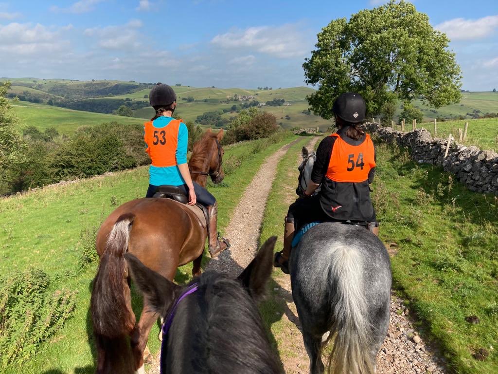 Beautiful day for a ride with friends.  If this fuel madness goes on any longer this could be the alternative commute.... parking for horses in hospitals 🤷‍♀️?
