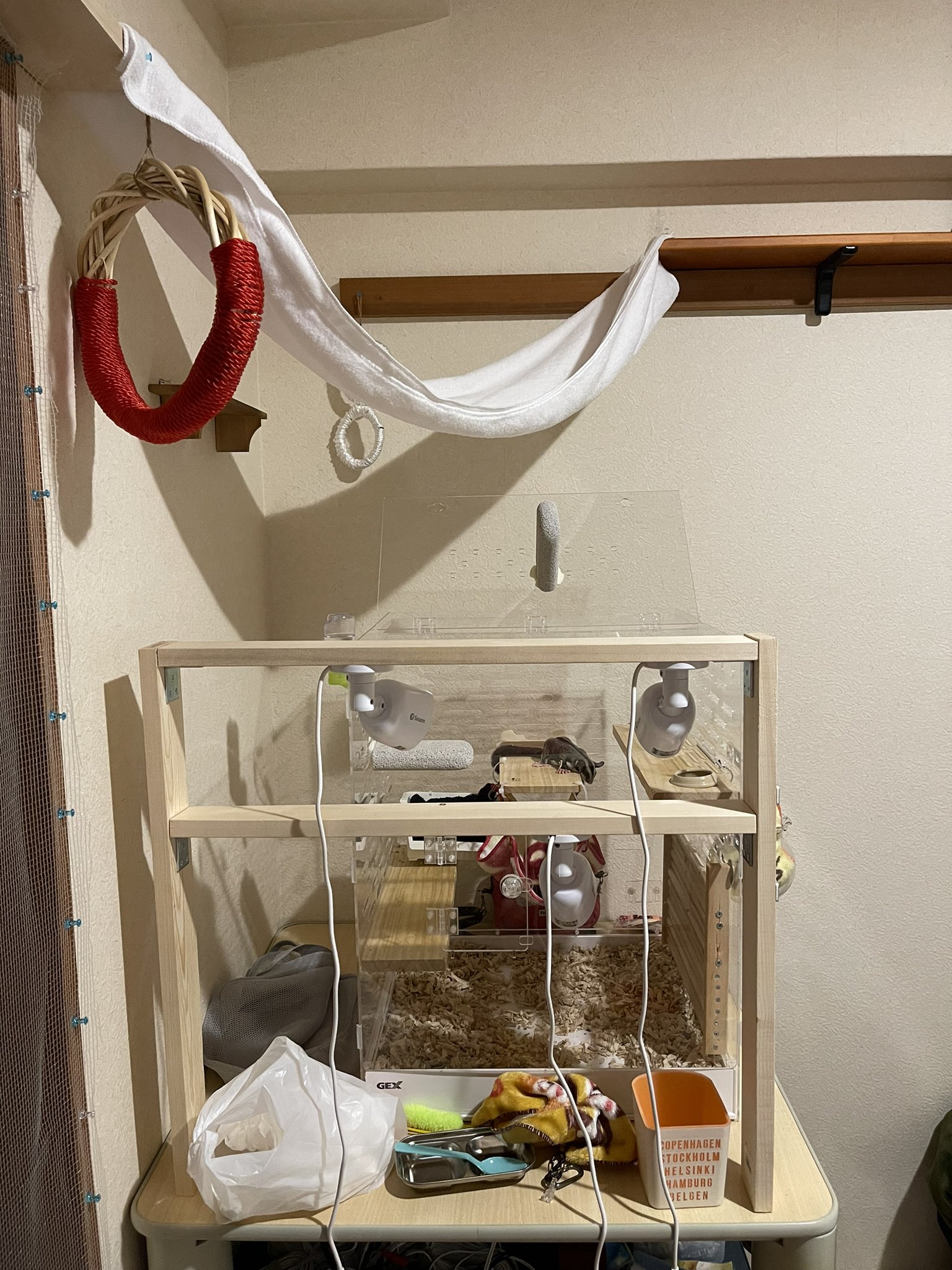 Tacas フクロモモンガのケージ前に木枠組んで定点カメラ付けました これにより以前の机はぱぽのマイクラ用に 板と板の間にハンモック風にマシュマロバスタオルを取り付け渡れるようにしました フクロモモンガ Diy ジョイフル本田 ジョイフル