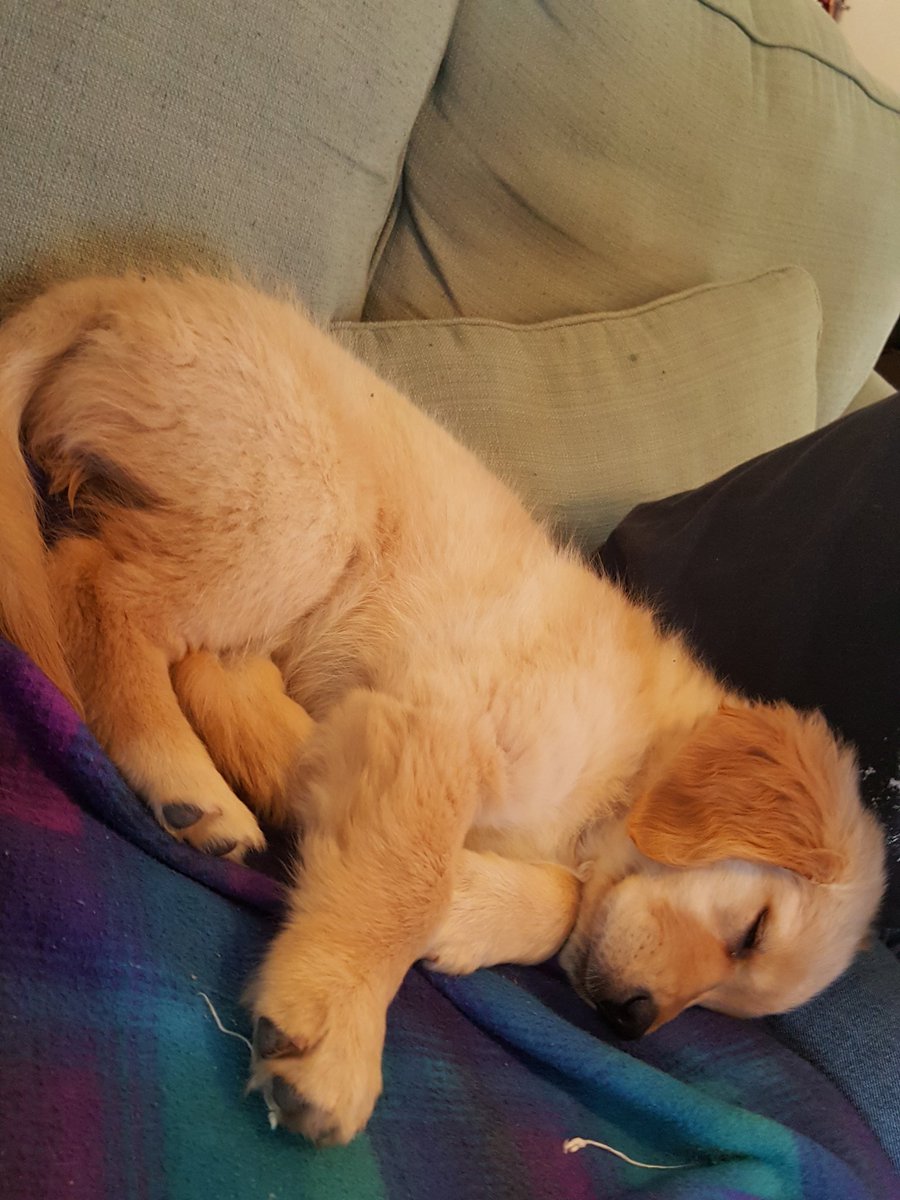 concretemuskrat's tweet photo. My sweet lil baby angel https://t.co/bEkJK0AZVT