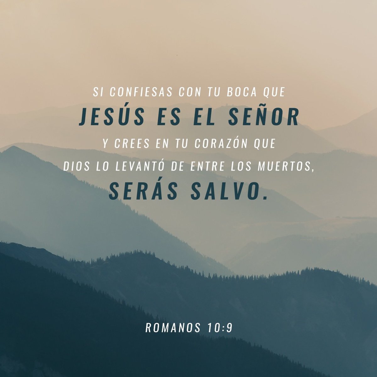 AbnerPapa's tweet photo. "Si declaras abiertamente que Jesús es el Señor y crees en tu corazón que Dios lo levantó de los muertos, serás salvo"
Romanos 10:9 NTV https://t.co/wUYeNMG7QN