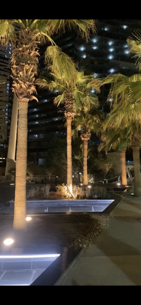 ziiz992's tweet photo. #اليوم_الوطني٩١ #تصويري #كاريزما50
اليوم الوطني السعودي 💚🇸🇦 https://t.co/2IOqjLHb2o