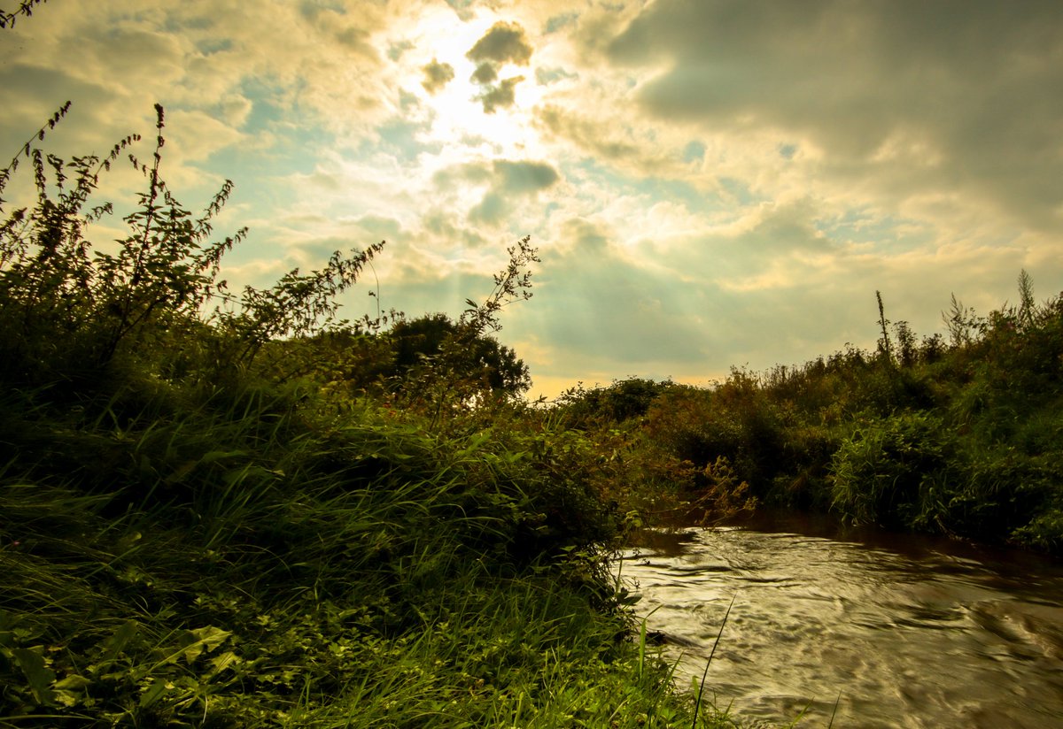 Beautiful Nature #canonphotography #canon #landscape #NaturePhotography #naturelovers #natur #umwelt #Cloppenburg #friesoythe