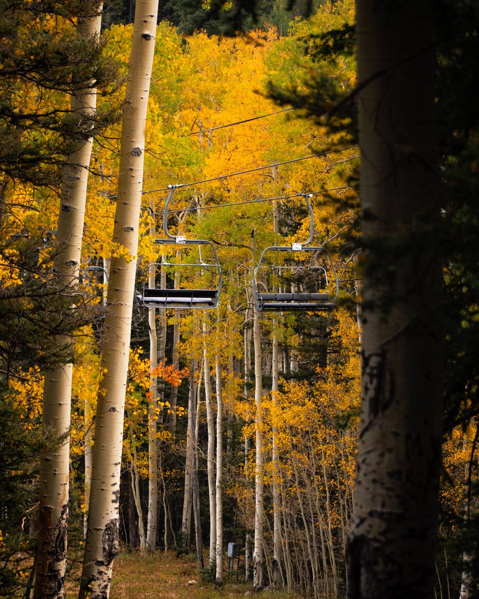 SkiSantaFe's tweet photo. 🍂👀 Take a ride on the chairlift, hike in the beautiful Santa Fe National Forest, play the highest elevation disc golf course in the world, check out the Sports Shop sale, take a break &amp; have a bite to eat &amp; a beer &amp; enjoy live music with The Wild Marimbas. Today at Ski Santa Fe https://t.co/djFnO7k7ar
