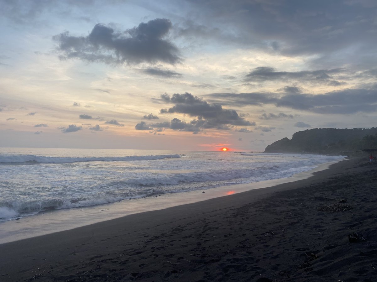 Tiffany Kearse, MD, MS tweet media