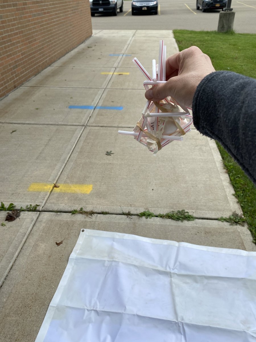 Hockenb_BushES's tweet photo. A huge thank you to Mr. Rick for helping with our egg drop experiment as we learn about the scientific method! https://t.co/vbkuxhwye3