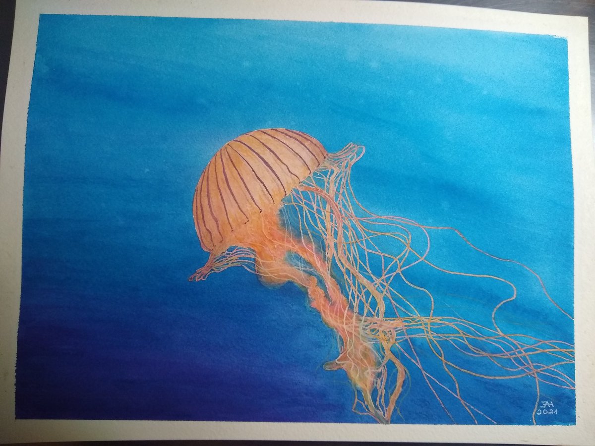 Emily Hein tweet media