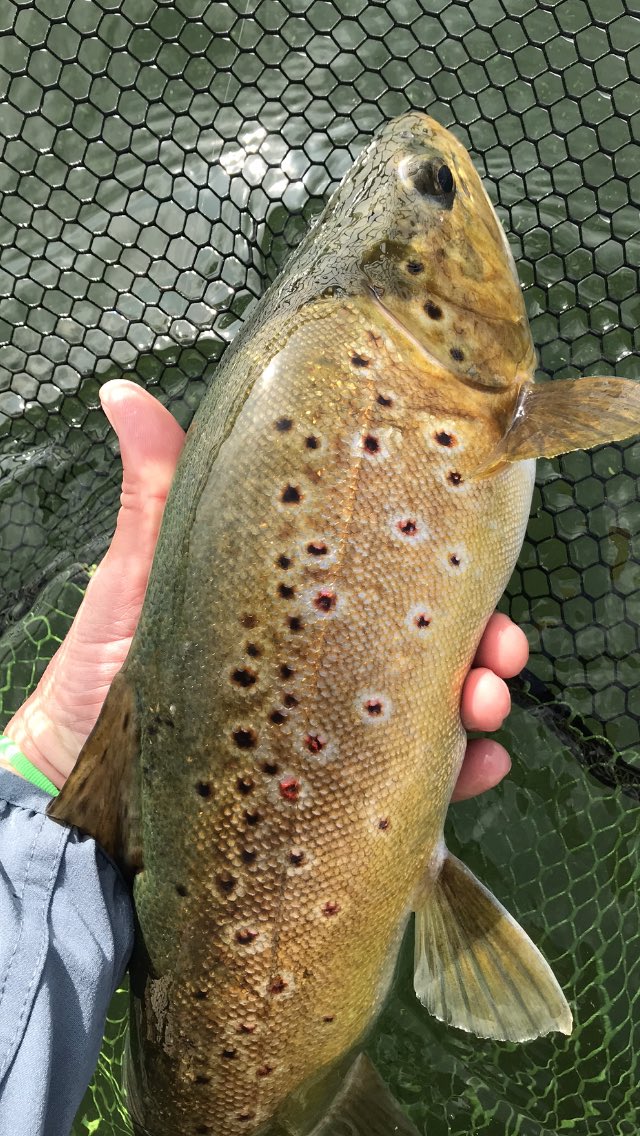 A little prep and scouting on the weedbeds…. Think I may need 2 days out this weekend!