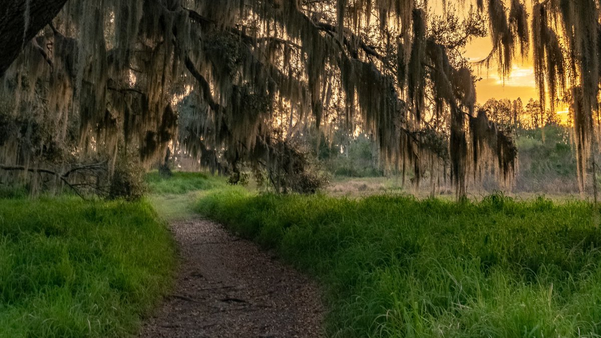 FCVoters's tweet photo. To make our communities more sustainable and resilient, we need to protect #NaturalFlorida. Lawmakers must also work to conserve our water, prevent pollution, protect wildlife, and stabilize our changing climate. https://t.co/ERNuQdDJq3 https://t.co/NCpVyLZWgG
