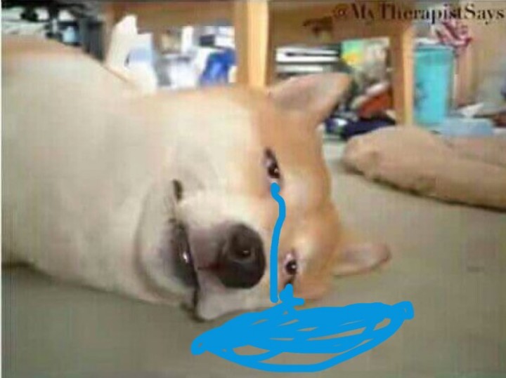 VaRen14_'s tweet photo. จอยเดี๋ยวนี้คือบ่าได้เลย บ้งไม่ไหวอะ แต่ทำไงได้นิยายที่เลิฟๆอยู่ในนี้หมด ไม่งั้นไม่อยู่แล้ว  #จอยล่ม https://t.co/rG82sn5I6Z