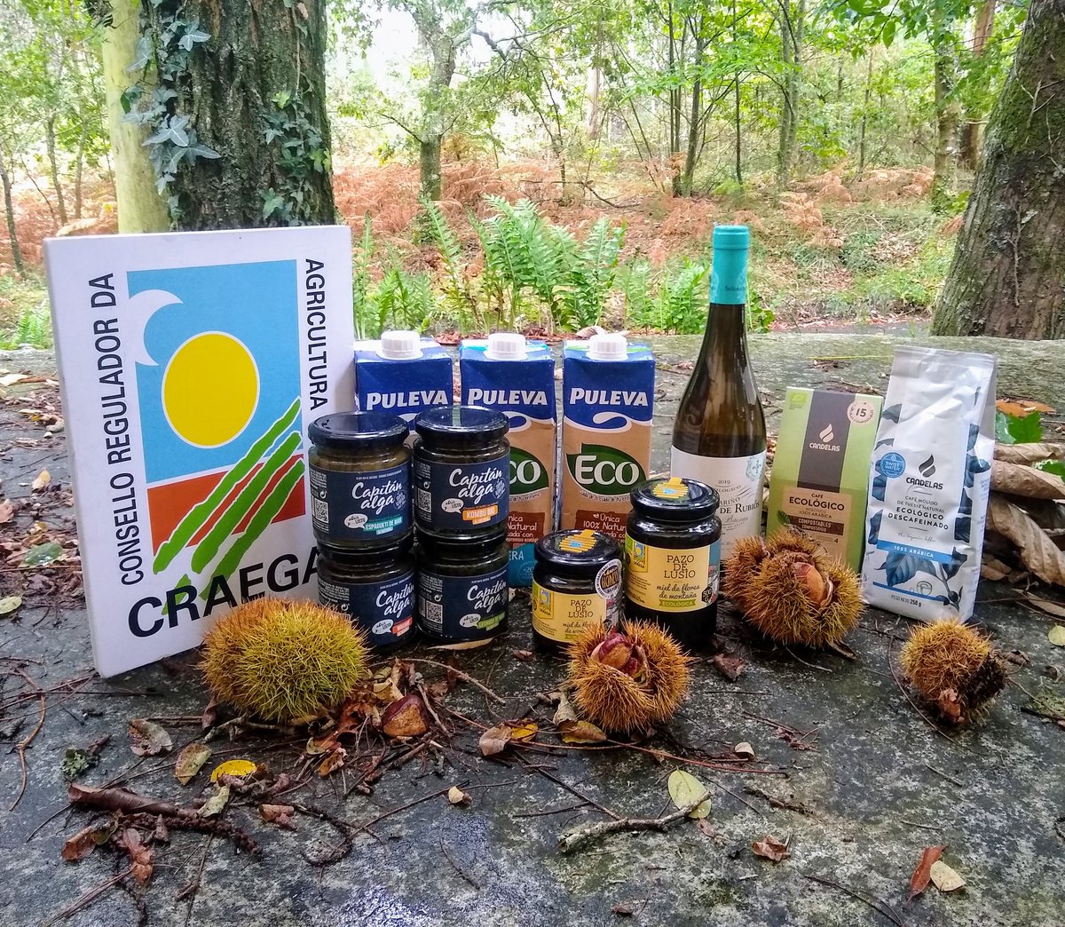 galizeando's tweet photo. Segundo día da #EcoExperienciaCraegaCoruña. Visitamos #GranxasdeLousada e @HortadaLousa, gandería e horta certificada en ecolóxico polo @CRAEGA https://t.co/LoPewZtAWq