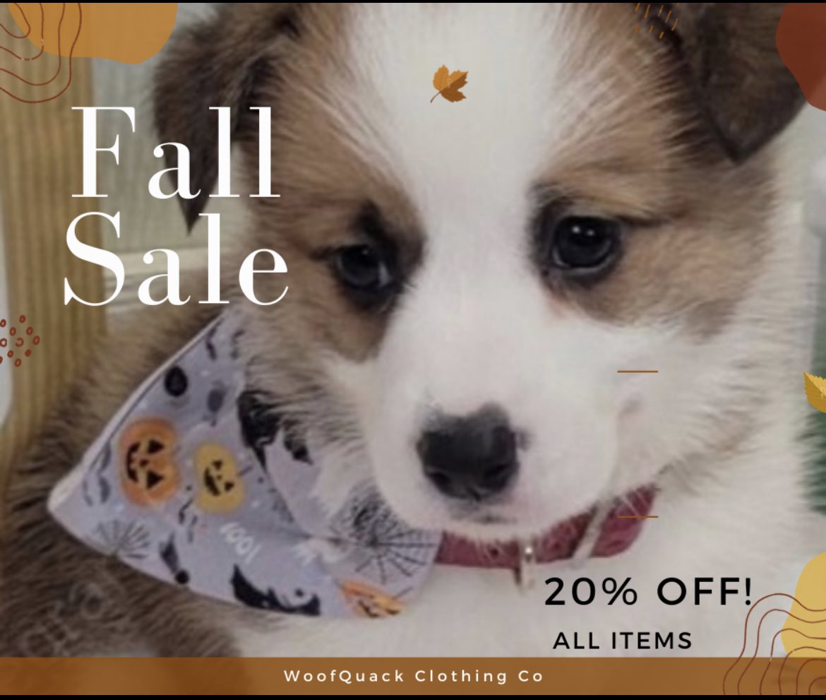 WoofQuackCo's tweet photo. Don’t miss out on our 20% off sale! Get your Furbaby some apparel 🐶😍 https://t.co/oMk7wHuRsA