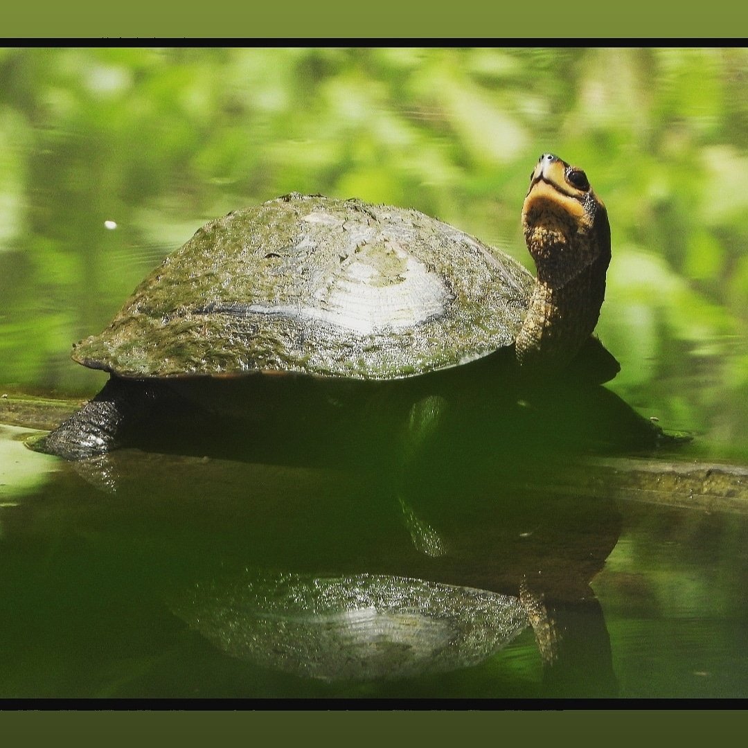 KUNAL ANGRISH tweet media