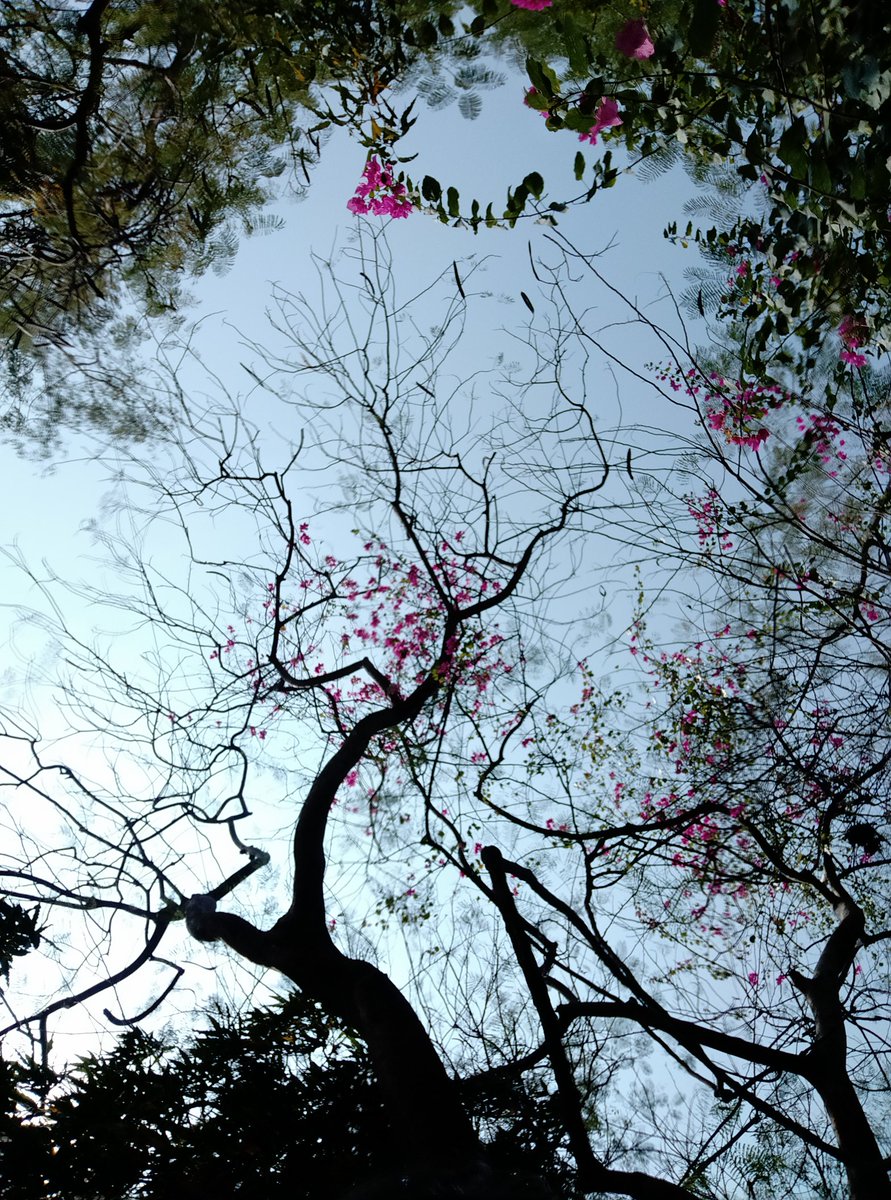 Rutujaholkar's tweet photo. Morning Click😊 #Lastposted https://t.co/V284dQfeHo