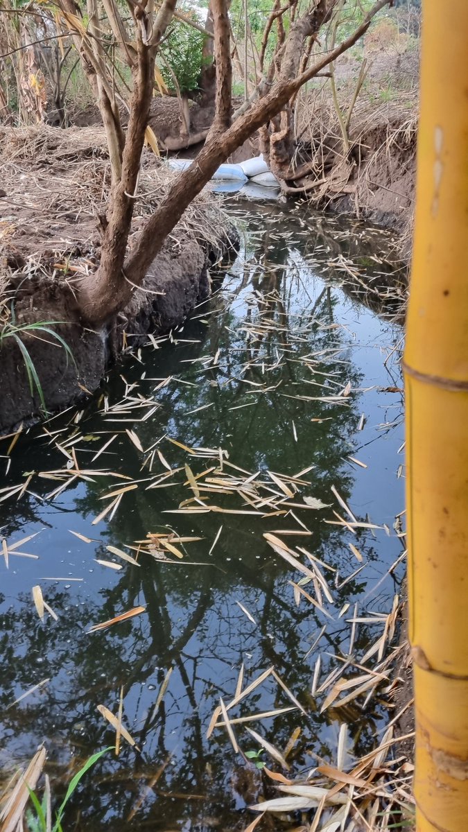 clingao's tweet image. Bought a small toy to use for the small canal. 1.5 HP; 122 metres Head; 2,850 r/min. There is no turning back now! Now to embrace brokenness. Donations are welcome. Thank you. #farmingsmart