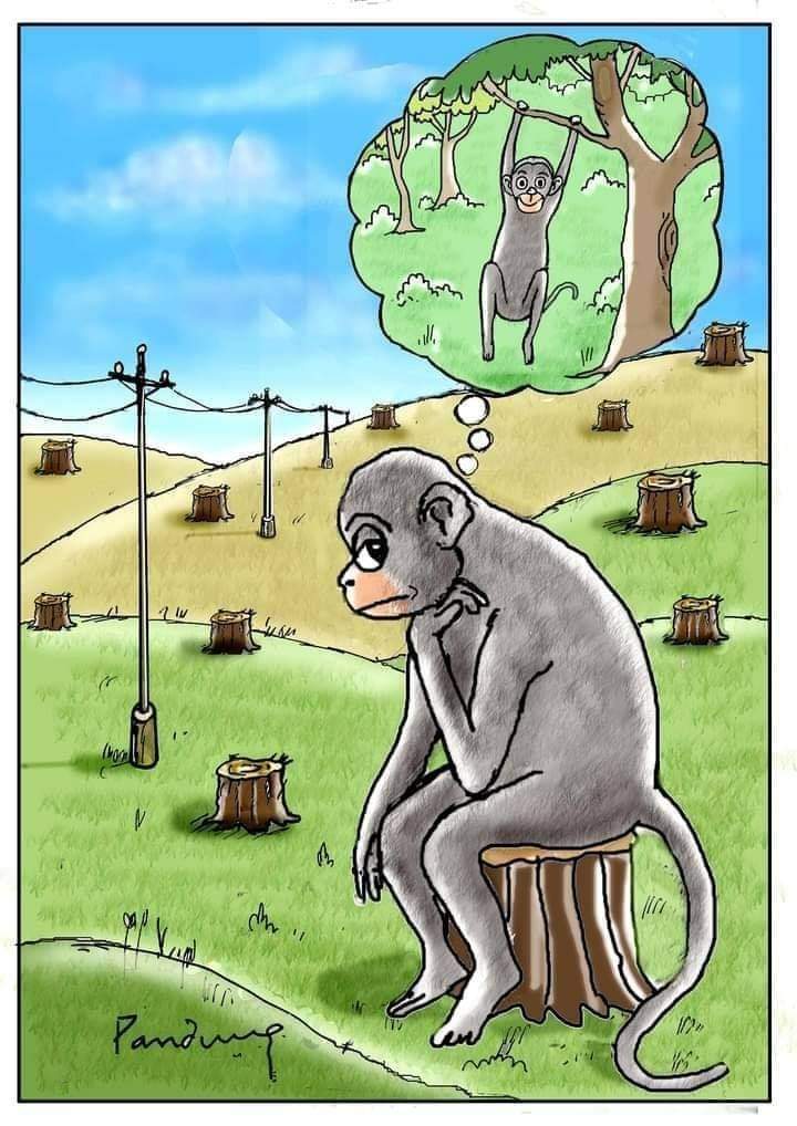SudhanshuSME's tweet photo. When a Picture Says More Than Words!😥

Please Plant trees Plant hope 🌳❤🌳

#PlanetSOS 

Artist: B V Panduranga Rao https://t.co/QneROx3EXD